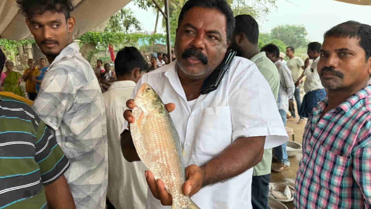 Andhra: చిక్కిందండి సరైన పులస.. ఎంత ధర పలికిందో తెలుసా..?