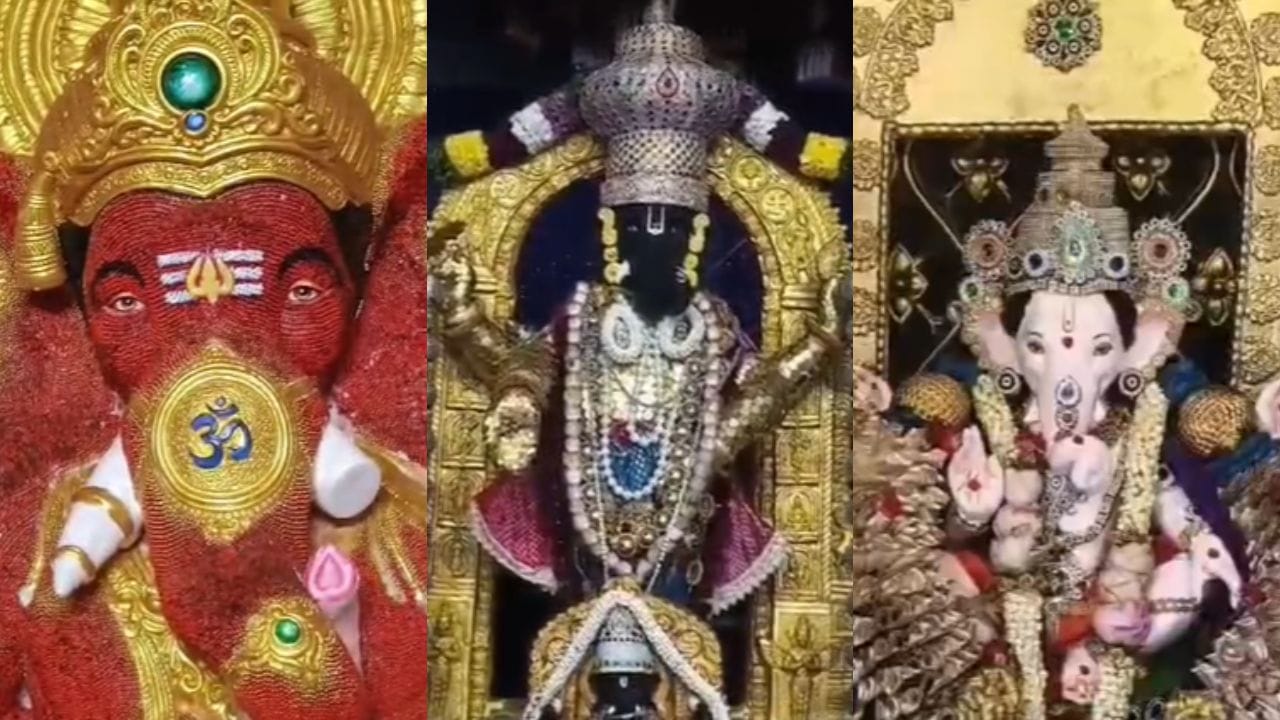 వీదికో వెరైటీ గణేష్.. ఆ నగరంలో భక్తులను ఆకట్టుకుంటున్న రంగురంగుల వినాయకులు!