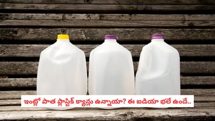 ఇంట్లో పాత ప్లాస్టిక్ క్యాన్లు ఉన్నాయా? ఈ ఐడియా భలే ఉందే..