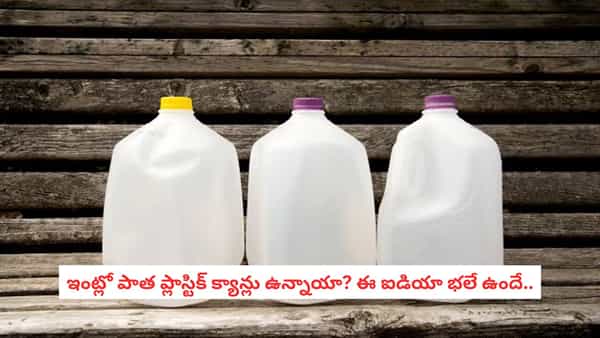 DIY Home Hacks: ఖాళీ పాల క్యాన్తో ఇన్ని పనులు చేయొచ్చా? ఈ ట్రిక్స్ తెలిస్తే పారేయాలనిపించదు!