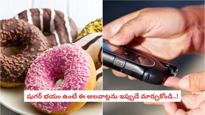 షుగర్ భయం ఉంటే ఈ 5 అలవాట్లను ఇప్పుడే మార్చుకోండి..!