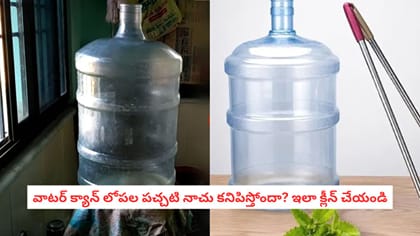 వాటర్ క్యాన్ లోపల పచ్చటి నాచు కనిపిస్తోందా? ఇలా క్లీన్ చేయండి