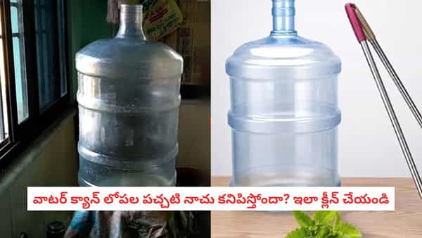 Water Can Cleaning: బయట శుభ్రంగా ఉన్నా లోపల మురికి ఉండొచ్చు.. వాటర్ క్యాన్ను ఇలా క్లీన్ చేయండి