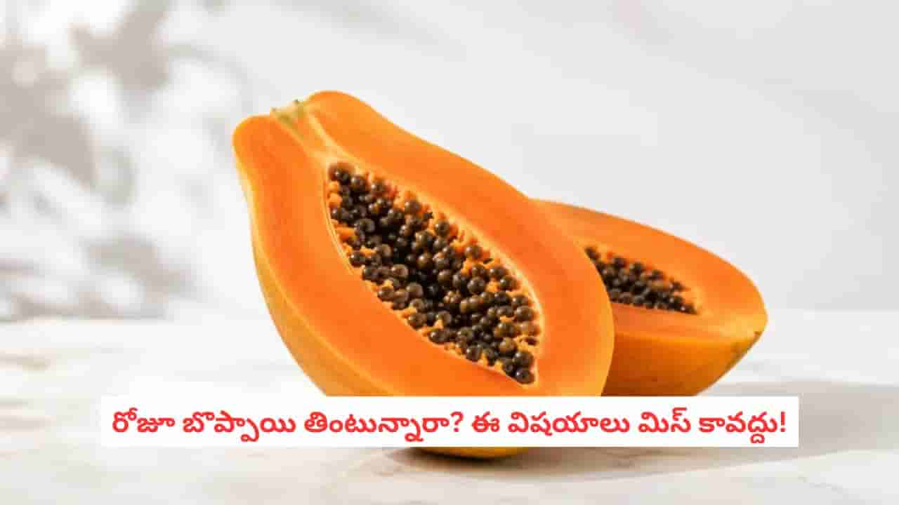 Papaya Side Effects: గర్భిణుల నుంచి మధుమేహ బాధితుల వరకు.. బొప్పాయి విషయంలో ఎవరెవరు జాగ్రత్తగా ఉండాలి?