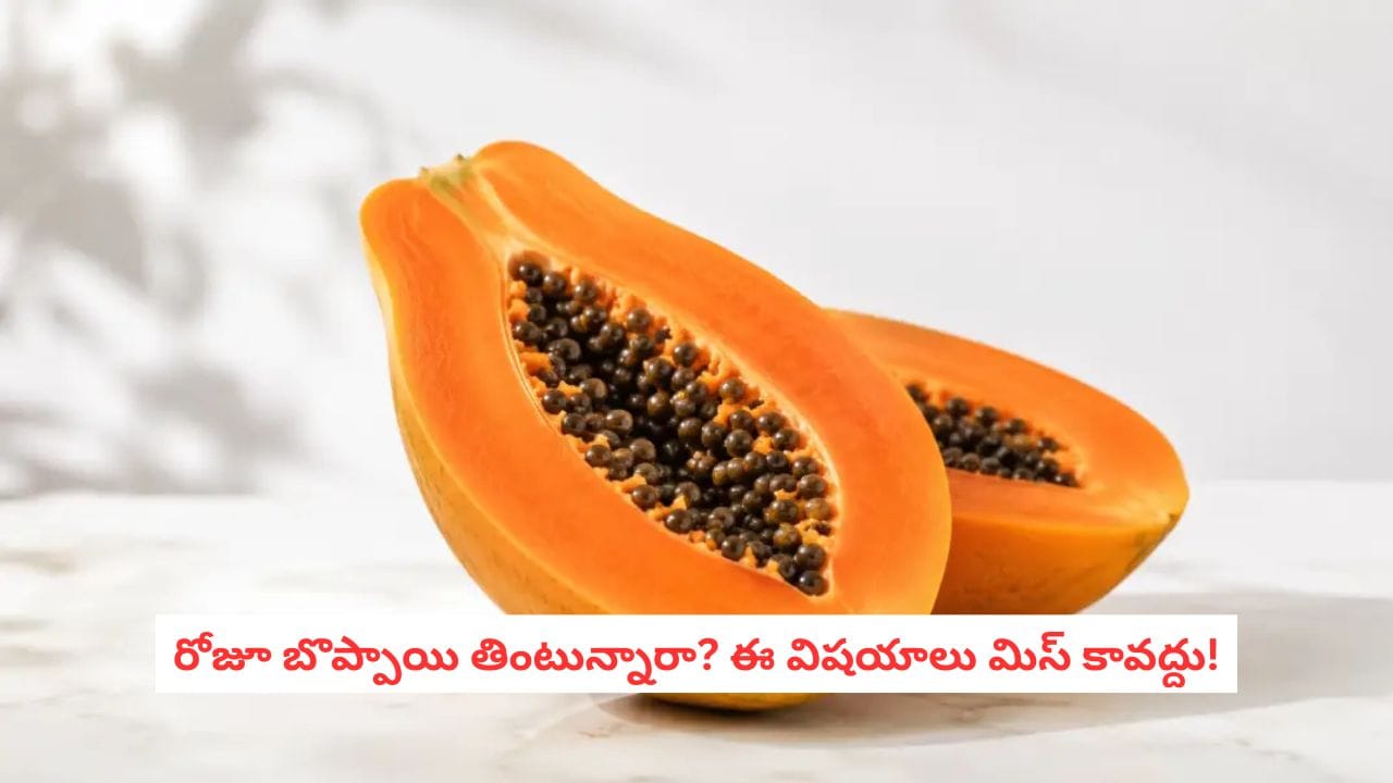 Papaya Side Effects: గర్భిణుల నుంచి మధుమేహ బాధితుల వరకు.. బొప్పాయి విషయంలో ఎవరెవరు జాగ్రత్తగా ఉండాలి?
