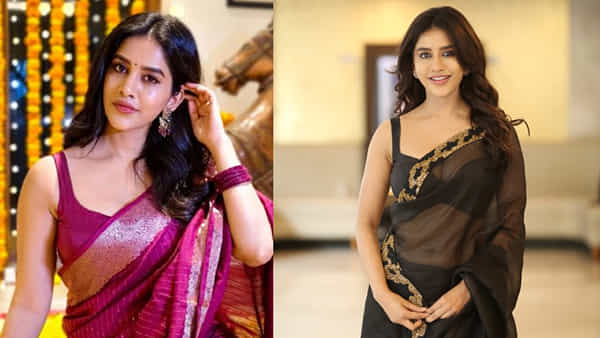 Nabha Natesh: ఈ దసరాకి నా ఆయుధ పూజ వీటికే.. హీరోయిన్ నభా నటేష్ పోస్ట్ వైరల్