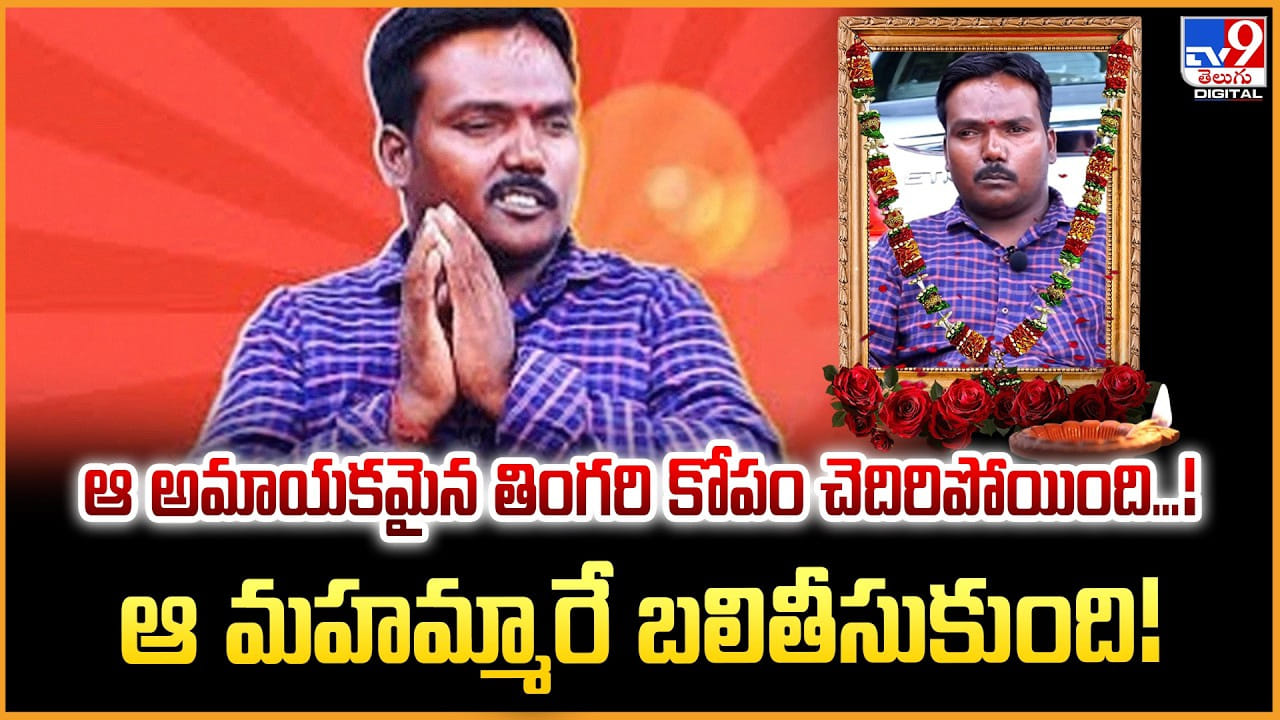 Aggipette Macha: ఆ అమాయకపు తింగరి కోపం చెదిరిపోయింది.. ఆ మహామ్మారే బలితీసుకుంది