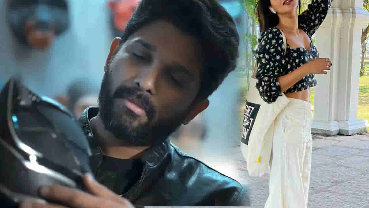 Allu Arjun: అల్లు అర్జున్ రాకా సినిమాలో ఛాన్స్ ఇప్పించండి.. హీరోయిన్ రిక్వెస్ట్