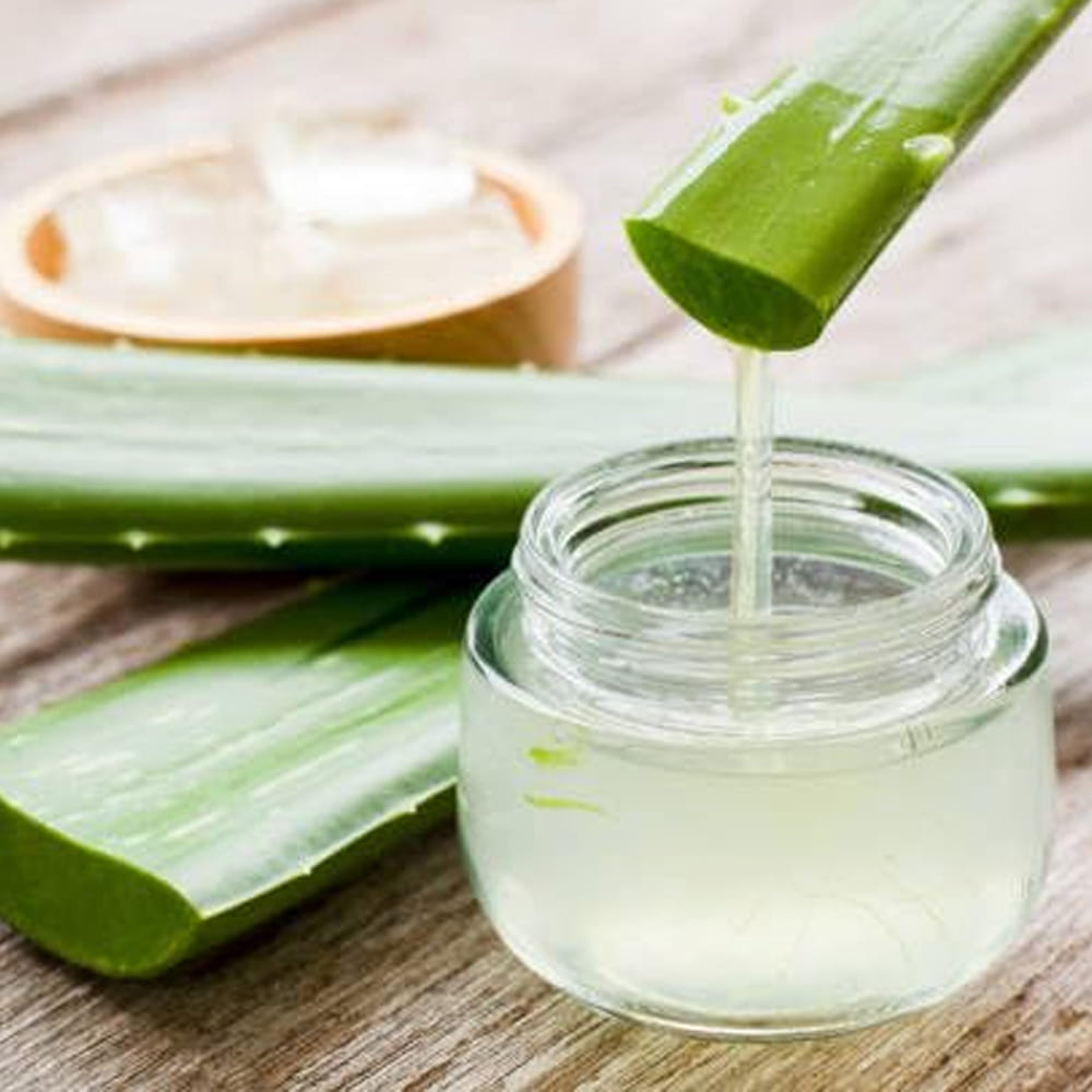 Aloe Vera (4)