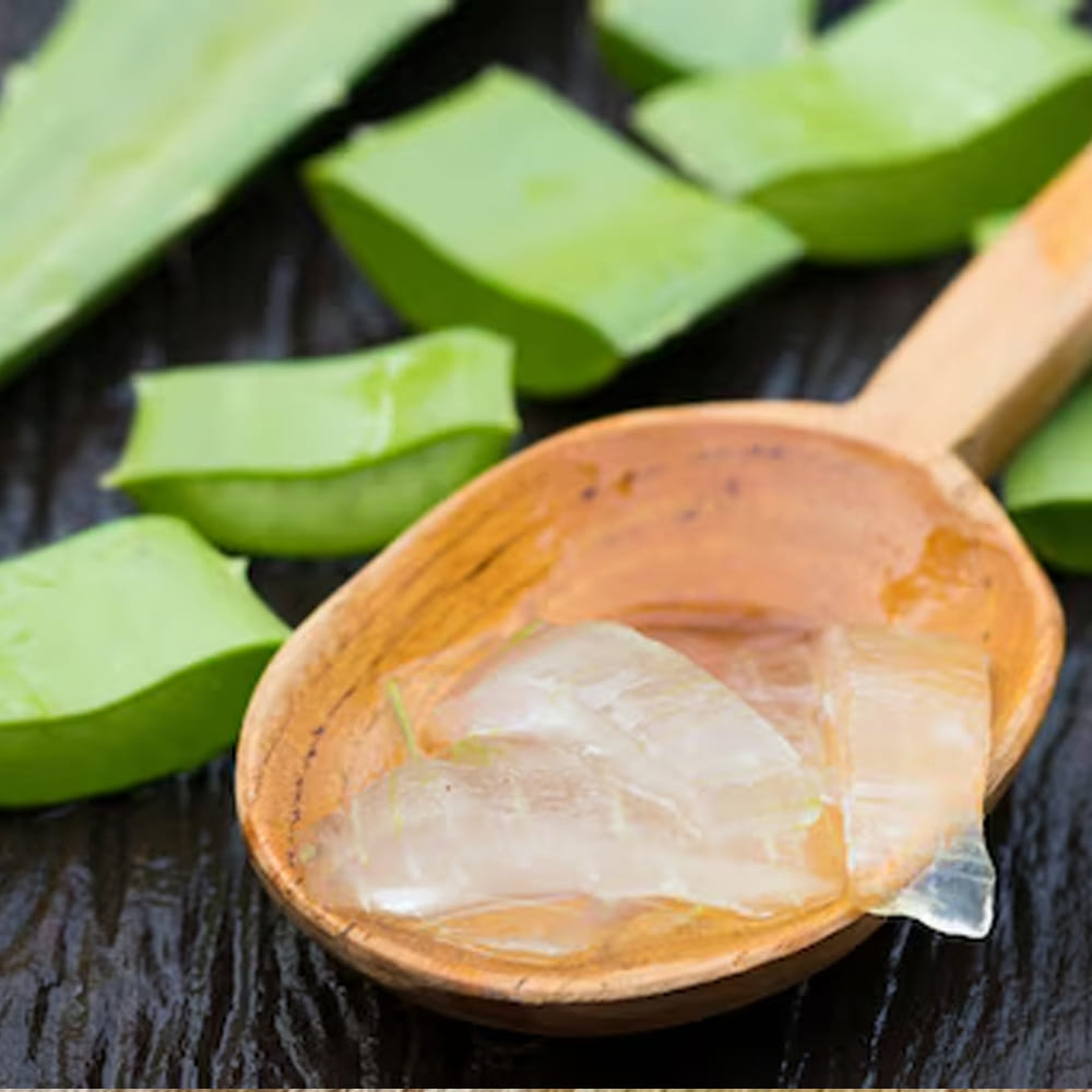 Aloe Vera (5)