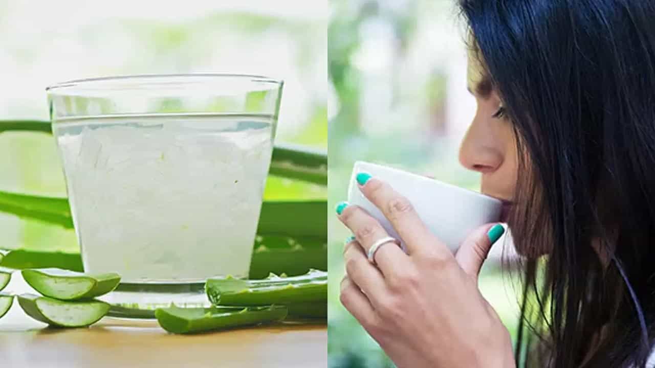 ఖాళీ కడుపుతో అలోవెరా జ్యూస్ తాగడం వల్ల కలిగే ప్రయోజనాలు: ఉదయం పూట పరగడుపున తగిన మోతాదులో కలబంద రసం సేవించడం ద్వారా అనేక ఆరోగ్య లాభాలు కలుగుతాయి. అలోవెరా జ్యూస్ గట్ హెల్త్ను మెరుగుపరచడంలో అద్భుతంగా పనిచేస్తుంది. ఇది జీర్ణవ్యవస్థను శుభ్రపరుస్తూ, దీర్ఘకాలిక మలబద్ధక సమస్యను దూరం చేస్తుంది. కలబందలో ఉండే యాంటీ ఆక్సిడెంట్లు చర్మాన్ని కాంతివంతంగా మార్చి, రక్తాన్ని శుద్ధి చేస్తాయి.