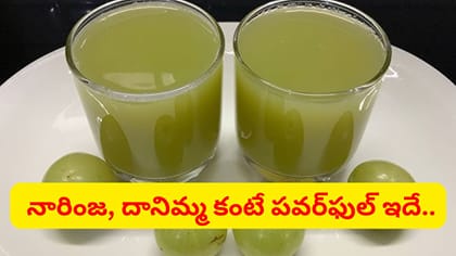 రోగనిరోధక శక్తిని పెంచే దివ్యౌషధం.. సమస్యలకు న్యాచురల్ మెడిసిన్..