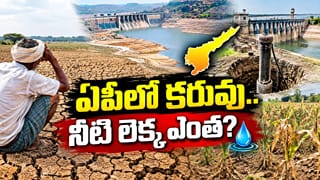 Andhra Pradesh: ఎండుతున్న పంటలు.. ఇంకిపోయిన భూగర్భ జలాలు.. కరువుతో అన్నదాతలు ఆగమాగం..