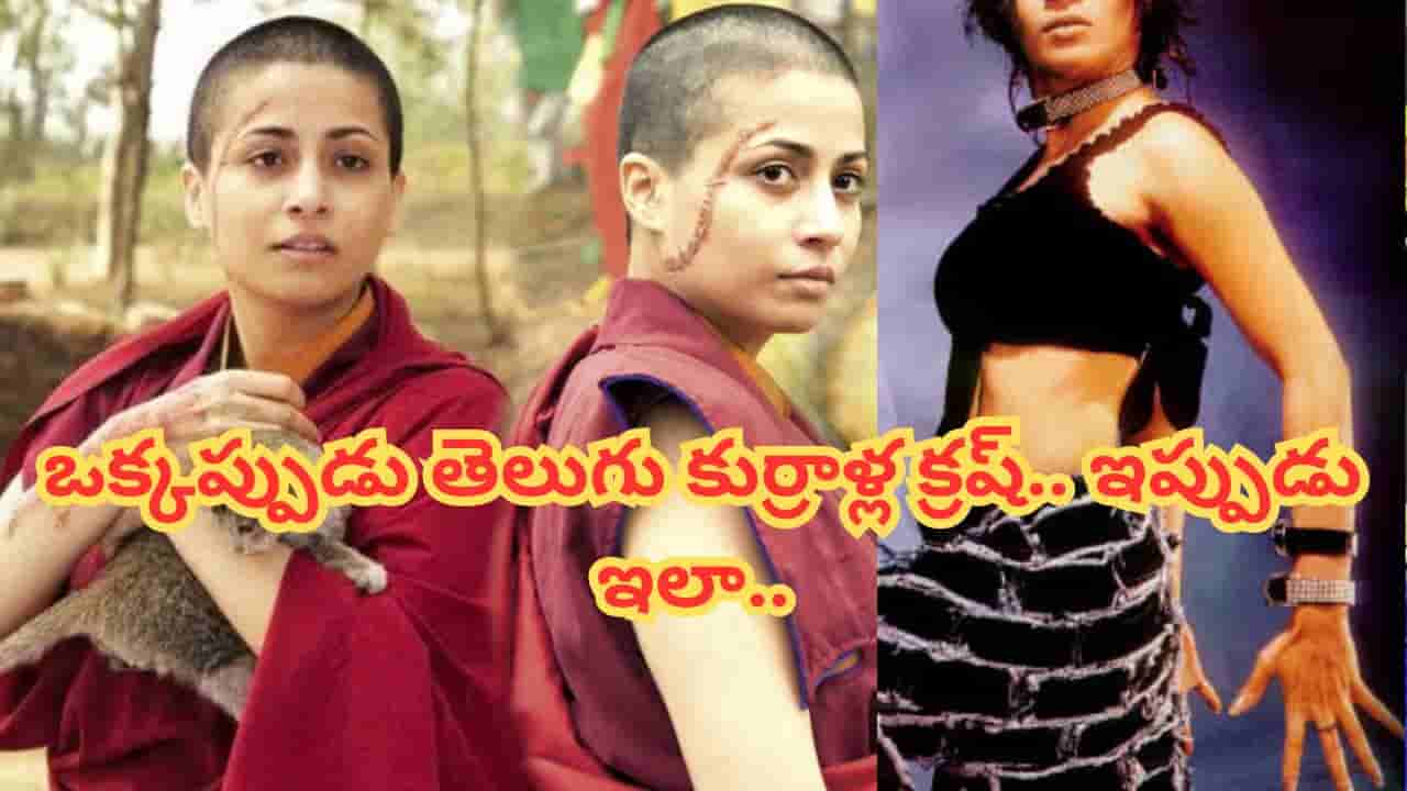 Tollywood : ఏందీ అమ్మడు ఇది నువ్వేనా.. గ్లామర్ క్వీన్గా ఇండస్ట్రీని షేక్ చేసింది.. ఇప్పుడు గుర్తుపట్టలేనంతగా మారిపోయింది..
