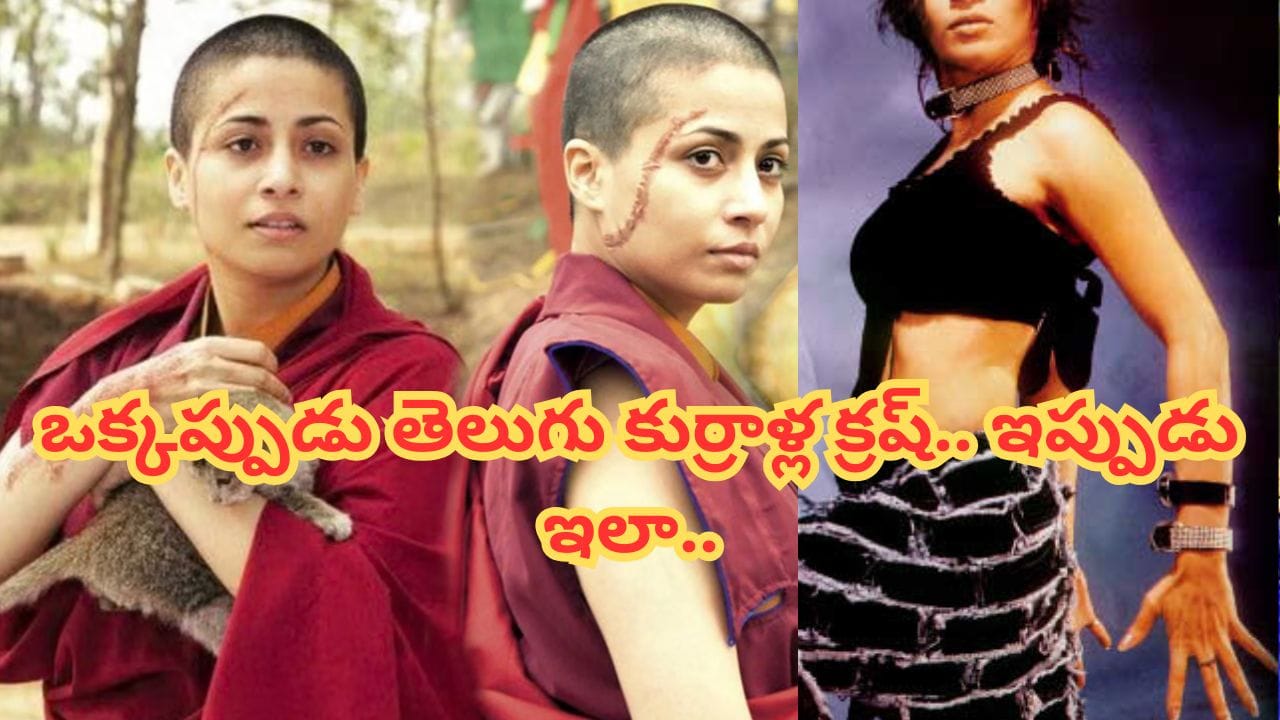 Tollywood : ఏందీ అమ్మడు ఇది నువ్వేనా.. గ్లామర్ క్వీన్గా ఇండస్ట్రీని షేక్ చేసింది.. ఇప్పుడు గుర్తుపట్టలేనంతగా మారిపోయింది..