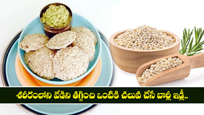 శరీరంలోని వేడిని తగ్గించి ఒంటికి చలువ చేసే బార్లీ ఇడ్లీ..