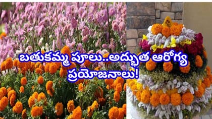బతుకమ్మ పూలలో దాగున్న అద్భుత ఆరోగ్య ప్రయోజనాలు!