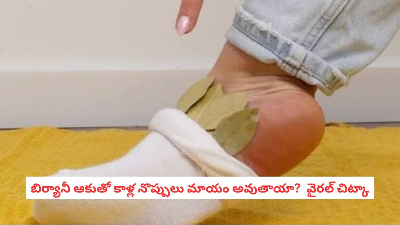 Bay Leaf in Socks: బిర్యానీ ఆకుతో కాళ్ల నొప్పులు మాయం అవుతాయా? వైరల్ చిట్కా వెనుక అసలు నిజం ఇదే