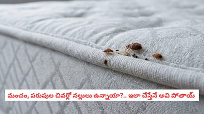 మంచం, పరుపుల చివర్లో నల్లులు ఉన్నాయా?.. ఇలా చేస్తేనే అవి పోతాయ్ 