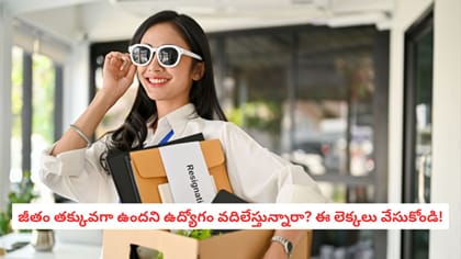 జీతం తక్కువగా ఉందని ఉద్యోగం వదిలేస్తున్నారా? ఈ లెక్కలు వేసుకోండి!
