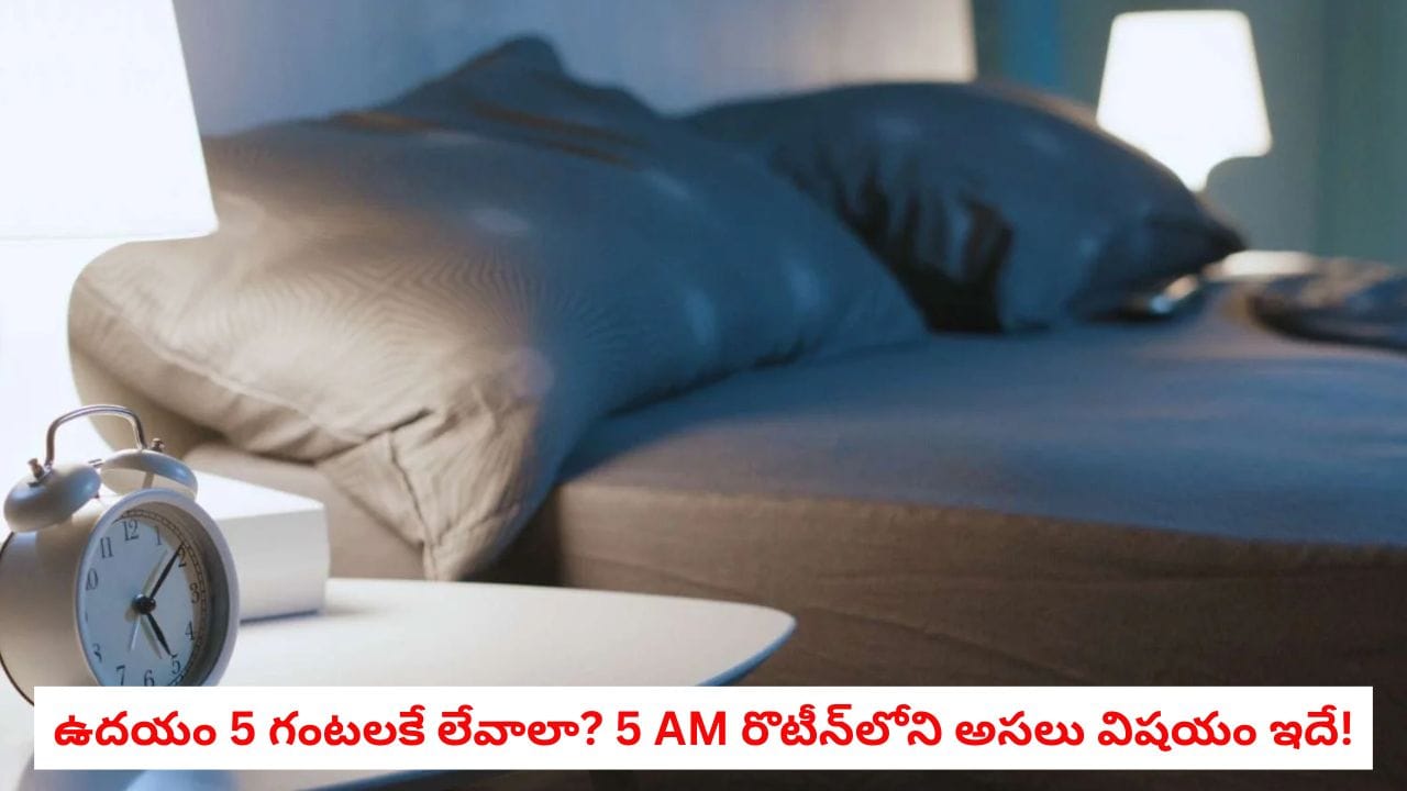 5 AM Routine: విజయం కోసం నిద్రను తగ్గిస్తున్నారా? ఉదయం త్వరగా లేచేవారు ఈ విషయం తప్పక తెలుసుకోవాలి! ఉదయం 5 గంటలకే లేవాలా? 5 AM రొటీన్లోని అసలు విషయం ఇదే!