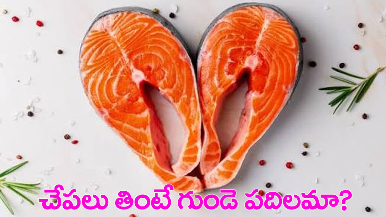 చేపలు తింటే గుండెపోటు రాదా? వారానికి ఎన్నిసార్లు తినాలో తెలుసా?