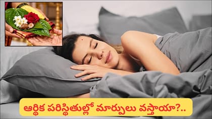 కలలో తమలపాకులు కనిపిస్తే అదృష్టమేనా? తాంబూలం కనిపిస్తే ఎలాంటి..