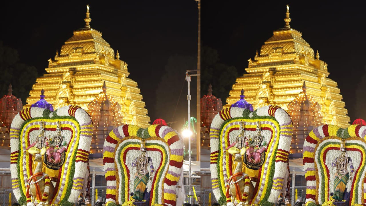 శ్రీ భ్రమరాంబికాదేవి బ్రహ్మచారిని అలంకారంలో అలానే మల్లికార్జునస్వామి అమ్మవారు మయూర వాహనంపై ఆశీనులను చేసి ప్రత్యేక పూజలు చేసి కర్పూరహారతులిచ్చరు అనంతరం వైభవంగా గ్రామోత్సవానికి బయలుదేరగా ఉత్సవమూర్తుల ముందు కోలాటాలు,చెక్క భజనలు, కేరళ నృత్యాలు, వాయిద్యాలు,గిరిజనుల నృత్యాలు,వివిధ రకాల గిరిజన నృత్యాలు వివిద రకాల విన్యాసాలు భక్తులను ఎంతగానో ఆకట్టుకున్నాయి. 