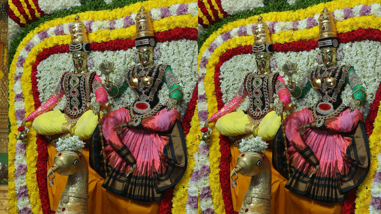 శ్రీశైలంలో వైభవంగా దసరా మహోత్సవాలు రెండవ రోజు బ్రహ్మచారిని అలంకారాంలో భక్తులకు దర్శనమిచ్చిన భ్రమరాంబికా మయూర వాహనంపై పురవీధుల్లో శ్రీస్వామి అమ్మవార్ల గ్రామోత్సవం. ఈ గ్రామోత్సవాల్లో పాల్గొన్న ఆలయ చైర్మన్ పోతుగుంట రమేష్ నాయుడు,ఈవో శ్రీనివాసరావు దంపతులు,ట్రస్ట్ బోర్డు మెంబర్లు,అర్చకులు పాల్గొన్నారు.