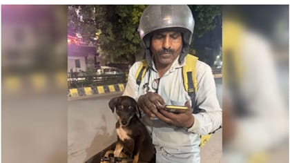 కుక్కపిల్లను కాపాడి.. బైక్ పై తిప్పుతున్న డెలివరీ బాయ్స్.. !