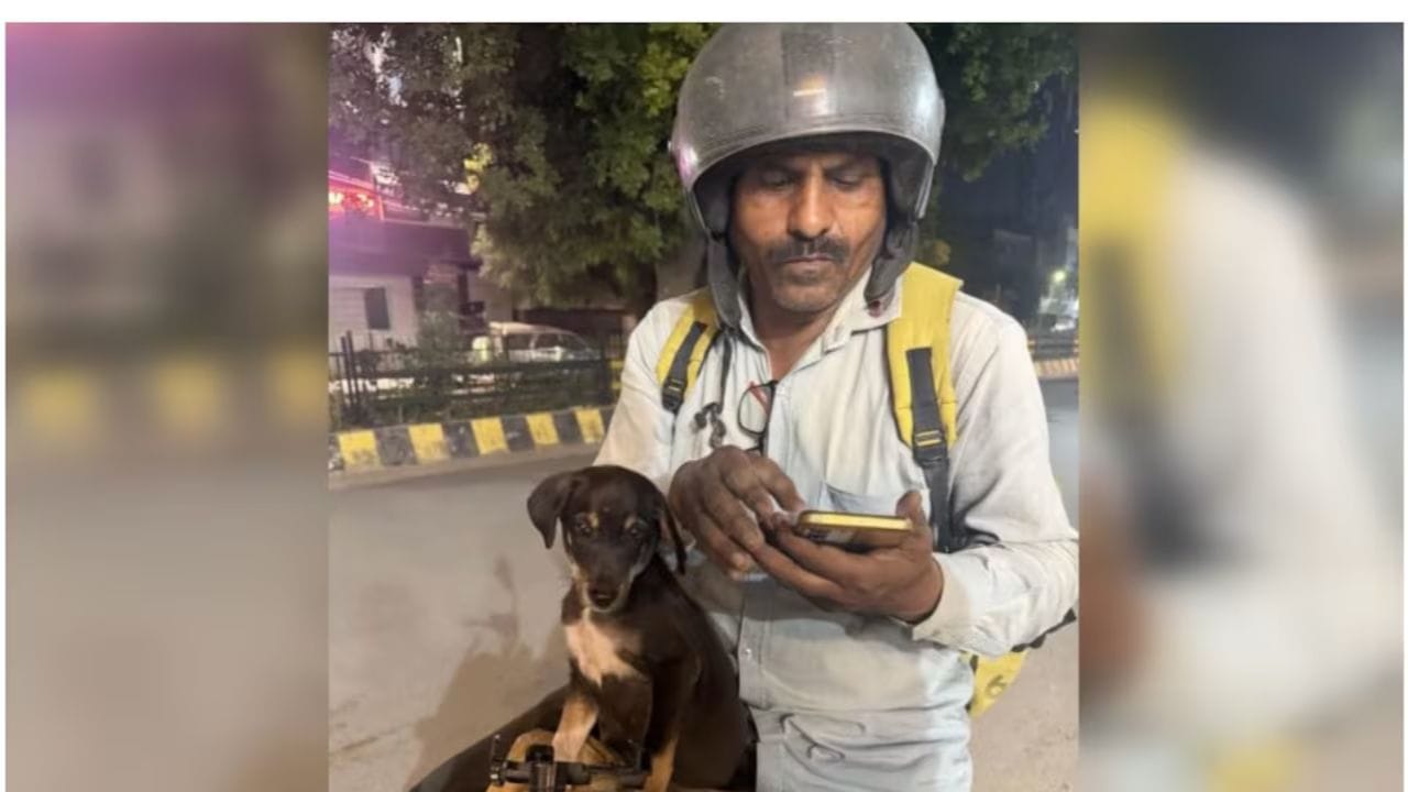 కుక్కపిల్లను కాపాడి.. బైక్ పై తిప్పుతున్న డెలివరీ బాయ్స్.. !