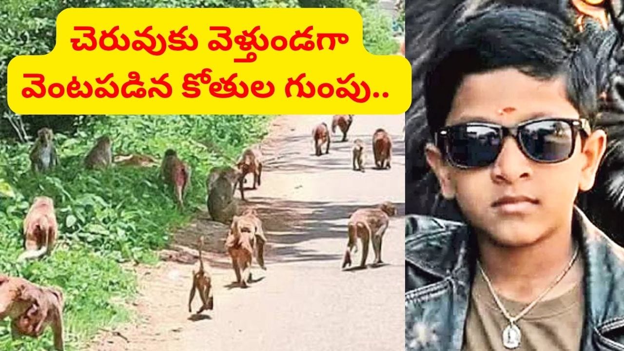 చెరువుకు వెళ్తుండగా వెంటపడిన కోతుల గుంపు.. కుప్పకూలిన బాలుడు.. చివరకు..