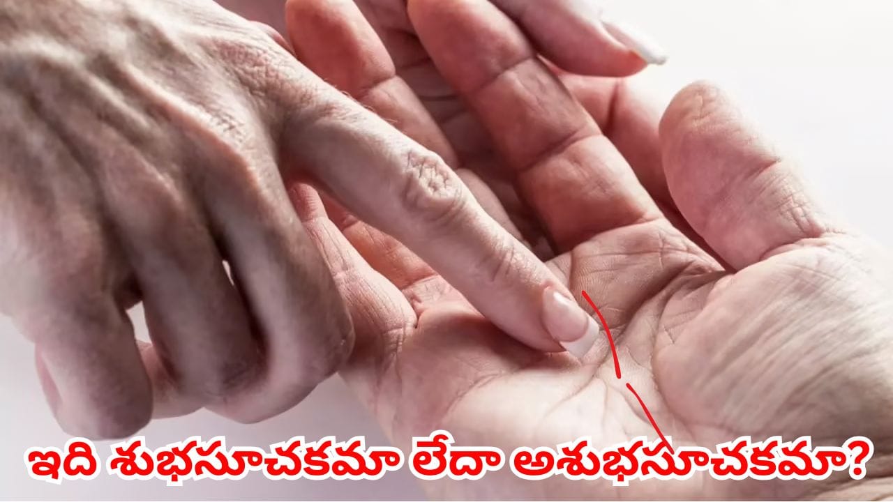 అరచేతిలో శని రేఖ తెగిపోయిందా? మీ ఉద్యోగం, ఆర్థిక పరిస్థితిపై ఎలాంటి ప్రభావం ఉంటుందో తెలుసా?