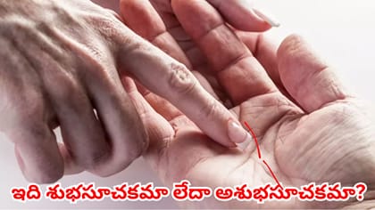 అరచేతిలో శని రేఖ తెగిపోయిందా? జీవితంలో ఎలాంటి మార్పులు వస్తాయో..