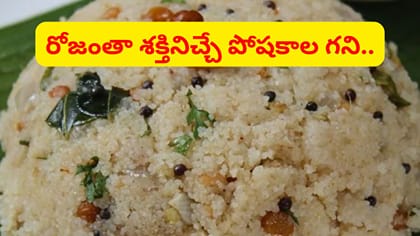 ఫుల్లుగా ఫైబర్, ప్రోటీన్.. ఉదయాన్నే ఓ గిన్నెడు తినండి చాలు..