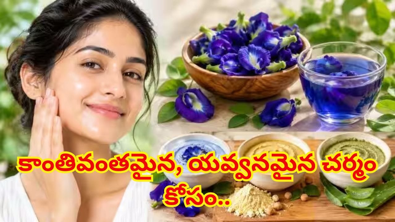 మెరిసే చర్మం కోసం శంఖు పువ్వు ఫేస్ ప్యాక్స్..యవ్వనం ఎప్పుడూ మీ వెంటే..!