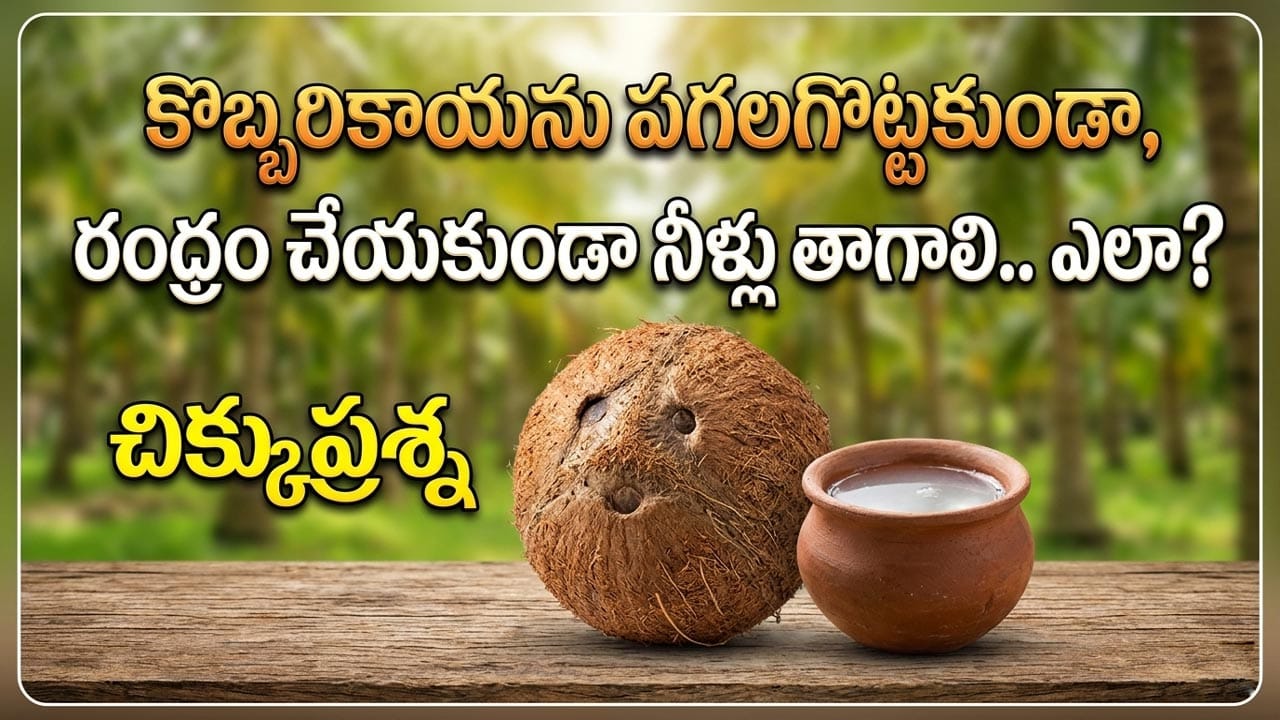 అక్బర్ సవాల్‌కు బీర్బల్ తెలివైన సమాధానం ఇదే!