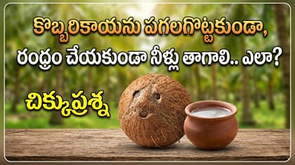 కొబ్బరికాయను పగలగొట్టకుండా, కోయకుండా నీళ్లు తాగాలి.. ఎలా? ఫజిల్