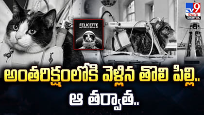 అంతరిక్షంలోకి వెళ్లిన తొలి పిల్లి .. ఆ తర్వాత..