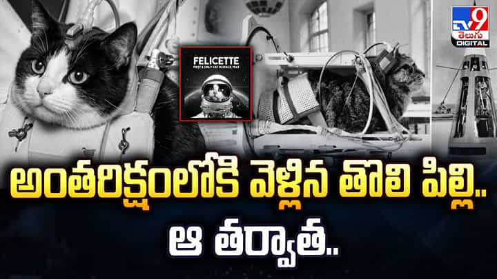 అంతరిక్షంలోకి వెళ్లిన తొలి పిల్లి .. ఆ తర్వాత.. అంతరిక్షంలోకి వెళ్లిన తొలి పిల్లి .. ఆ తర్వాత..