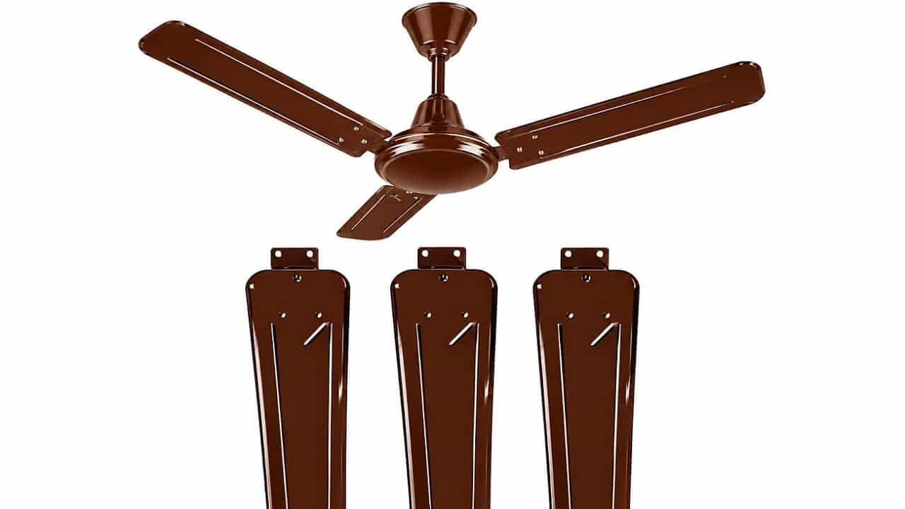 Ceiling Fan Blades: మీరు ఎప్పుడైనా సీలింగ్ ఫ్యాన్ రెక్కలను గమనించారా? అవి ఎప్పుడూ ఫ్లాట్గా ఉండవు. బదులుగా, అవి కొద్దిగా వంగి లేదా వంకరగా ఉంటాయి. ఇది కేవలం ఒక డిజైన్ ఎంపిక కాదు. దీని వెనుక ఒక ఆసక్తికరమైన టెక్నాలజీ ఉంది. సాంకేతిక భాషలో దీనిని బ్లేడ్ పిచ్ అని పిలుస్తారు. ఒకవేళ ఫ్యాన్ రెక్కలు పూర్తిగా ఫ్లాట్గా ఉంటే, అవి గాలిని కిందకు నెట్టడంలో సమర్థవంతంగా పనిచేయవు. అవి కేవలం గాలిని కోస్తూ తిరుగుతాయి. ఎంత వేగంగా తిరిగినా కూడా, గదిలోకి తగినంత గాలి ప్రసరణ ఉండదు. అంతేకాకుండా, ఫ్లాట్ బ్లేడ్లు మోటారుపై ఎక్కువ భారాన్ని పెడతాయి, దాని జీవితకాలాన్ని తగ్గిస్తాయి.