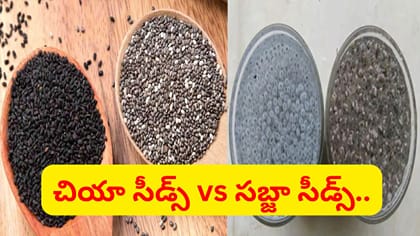చియా సీడ్స్ vs సబ్జా సీడ్స్.. వీటిలో ఏది బెస్ట్..