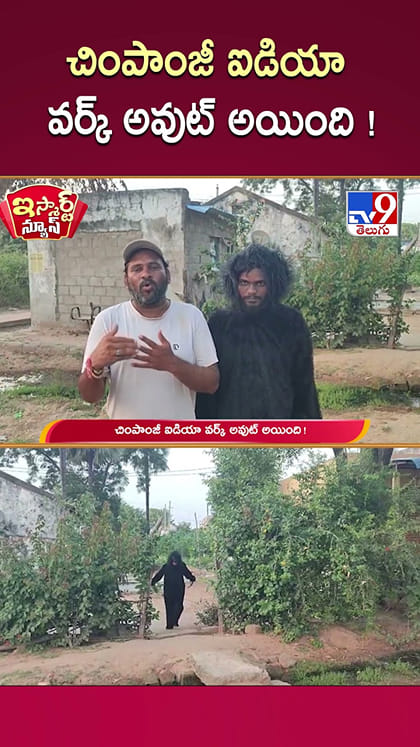 చింపాంజీ ఐడియా వర్క్ అవుట్ అయింది!