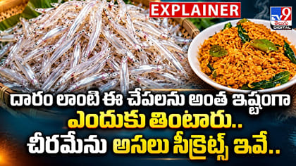 దారం లాంటి ఈ చేపలను అంత ఇష్టంగా ఎందుకు తింటారు