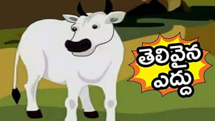 తెలివైన ఎద్దు కథ..