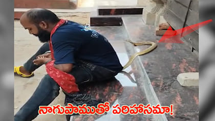 లైకులు, వ్యూస్‌ కోసం నాగుపాముతో చెలగాటం.. చివరికి!