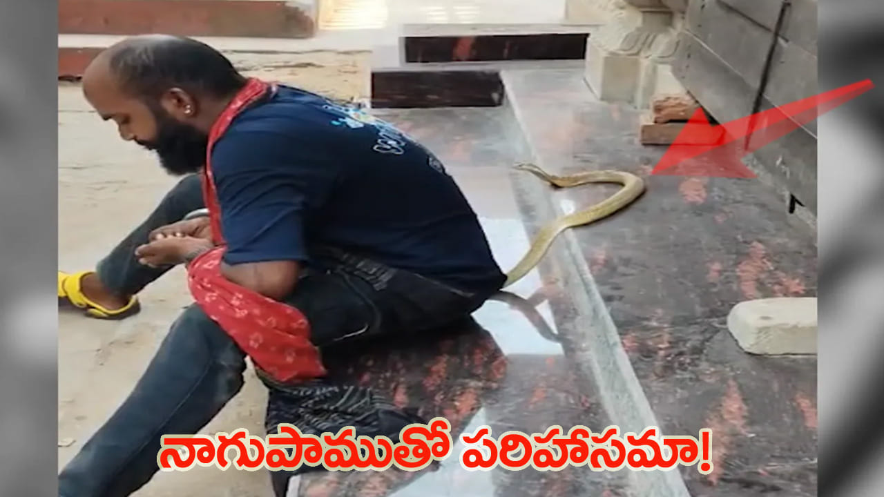 నాగుపాముతో పరిహాసమా..? పాముతో రీల్స్ చేస్తూ ప్రాణాల మీదకు తెచ్చుకున్న యువకుడు!