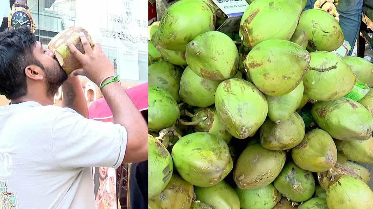 కొబ్బరినీళ్లు సహజమైన మూత్రవిసర్జన ఉత్ప్రేరకంగా పనిచేస్తాయి. ఉదయాన్నే ఇవి తాగడం వల్ల శరీరంలోని వ్యర్థాలు, టాక్సిన్లు మూత్రం ద్వారా బయటకు పోతాయి. ఇది మూత్రపిండాల్లో రాళ్లు ఏర్పడే ప్రమాదాన్ని గణనీయంగా తగ్గిస్తుంది. కొబ్బరినీళ్లలోని సహజ డయాబెటిక్ గుణాలు మూత్రపిండాల్లో రాళ్లు ఏర్పడకుండా నిరోధిస్తాయి. 