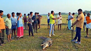 Crocodile: నిద్రలో ఉన్న వ్యక్తి వద్దకు 9 అడుగుల భారీ మొసలి.. తర్వాత ఏం జరిగిందో తెలుసా?