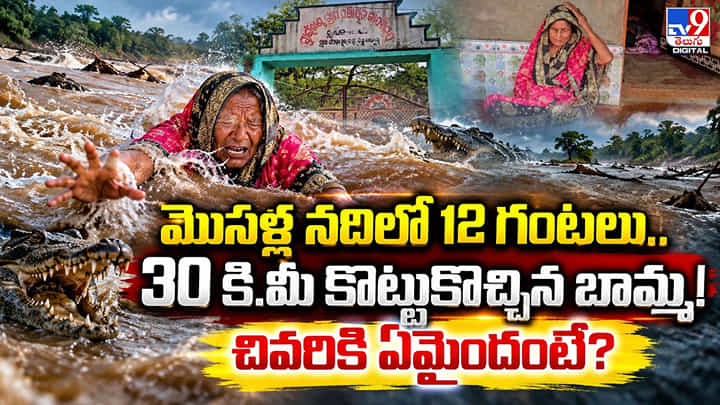 మొసళ్ల నదిలో 12 గంటలు.. 30 కి.మీ కొట్టుకొచ్చిన బామ్మ! చివరికి ఏమైందంటే? మొసళ్ల నదిలో 12 గంటలు.. 30 కి.మీ కొట్టుకొచ్చిన బామ్మ! చివరికి ఏమైందంటే?